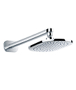 Wall shower arm with oval rainshower